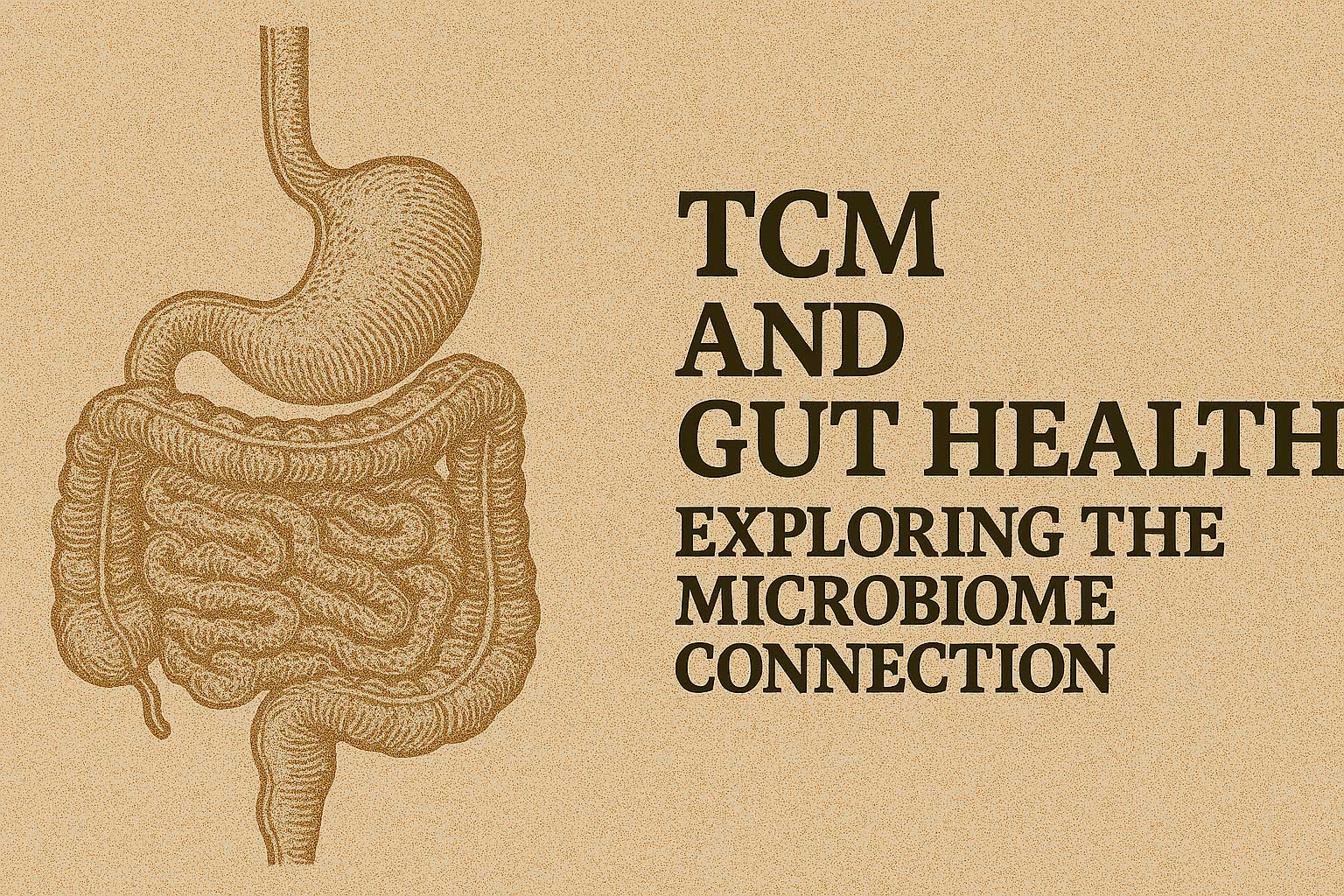 TCM and Gut Health: Exploring the Microbiome Connection
