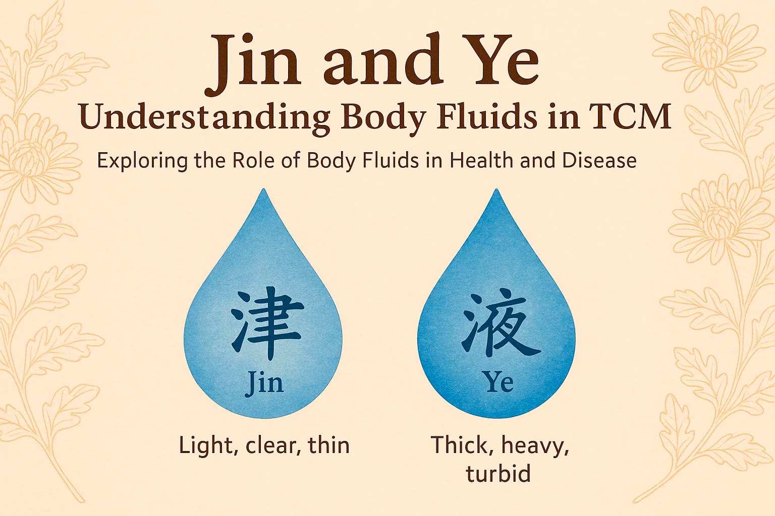 Jin and Ye: Understanding Body Fluids in TCM